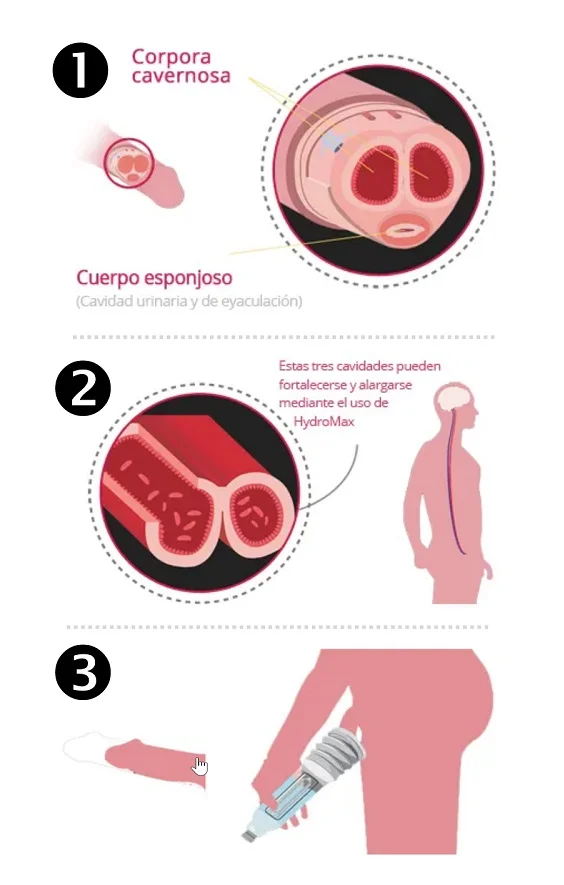 Cómo funciona Bathmate para agrandar el pene